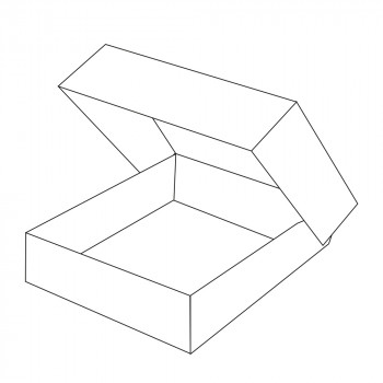 Cateringdoos M, 460 x 310 x 80 mm